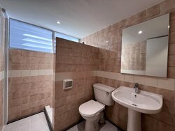 Dunearn Road (D11), Condominium #456269721